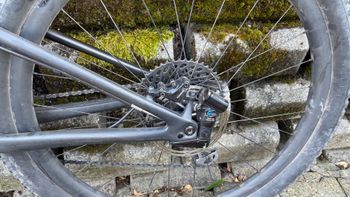 Specialized Men's Epic Expert 2019 2019 Mountainbike d'occasion — image 23 sur 30