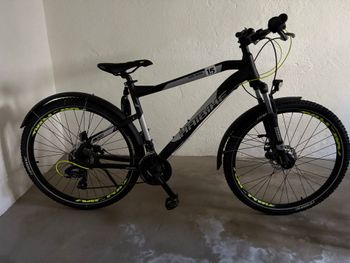 Used Haibike Hardseven Shimano Tourney 2019 MTB