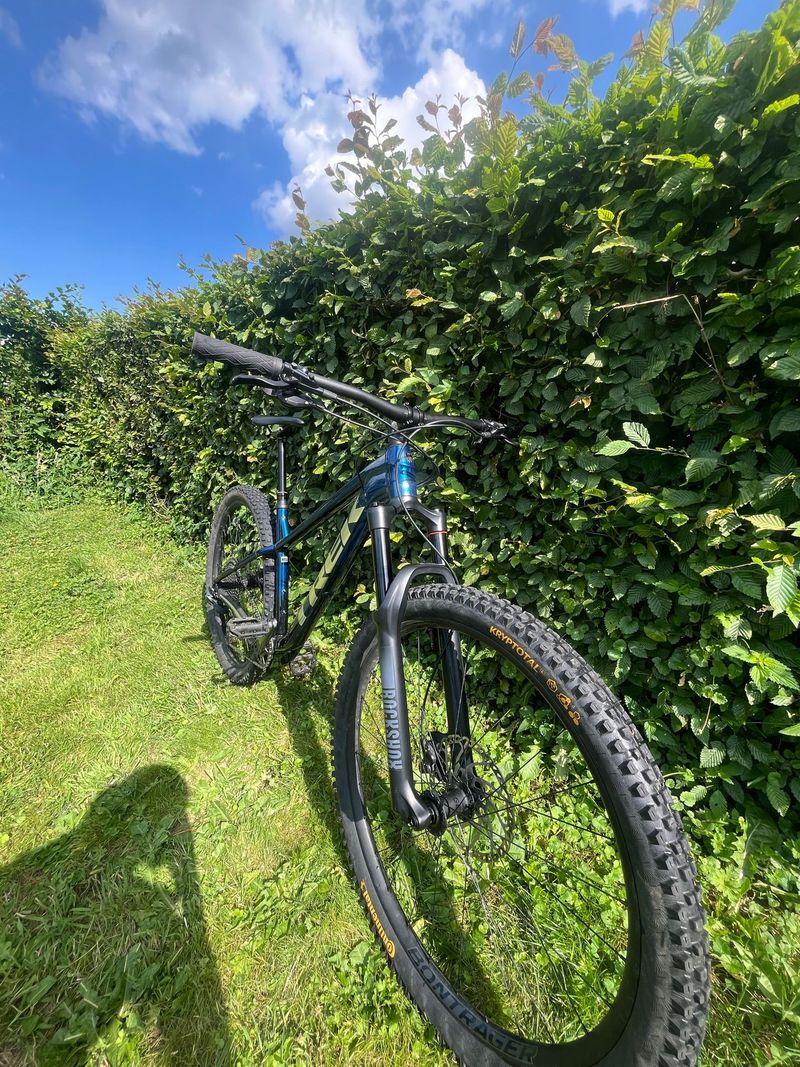Used Trek Roscoe 8 2023 2023 Mountainbike, Blue, 27.5, 29 — image 2 of 7