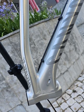 Gebrauchtes Canyon Spectral AL 6.0 2017 Frameset 2017 Mountainbike, Hellgrau — Bild 11 von 13