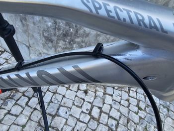 Gebrauchtes Canyon Spectral AL 6.0 2017 Frameset 2017 Mountainbike, Hellgrau — Bild 7 von 13