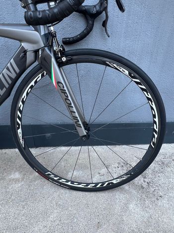 Used Cipollini RB1000 Frameset 2020 2020 Road & Gravel, Light Gray — image 6 of 7