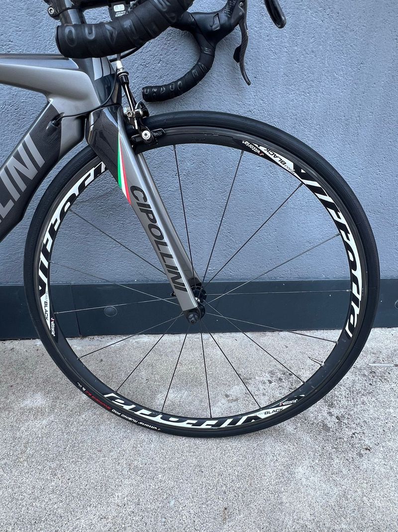 Used Cipollini RB1000 Frameset 2020 2020 Road & Gravel, Light Gray — image 6 of 7