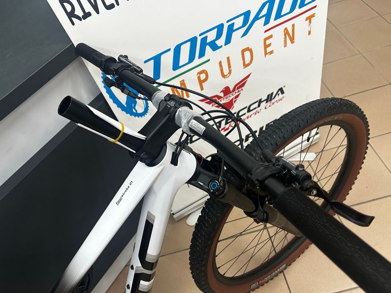 BMC Fourstroke 01 FRS 2024 2024 Mountainbike d'occasion — image 5 sur 19