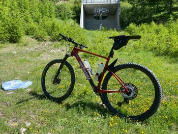 Used Cannondale Scalpel HT Carbon 2 2021 2021 Mountainbike, Red — image 5 of 8