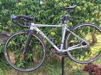 Used Vitoria Custom Shimano Tiagra 2021 Road & Gravel, Light Gray — image 2 of 14
