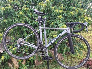 Used Vitoria Custom Shimano Tiagra 2021 Road & Gravel