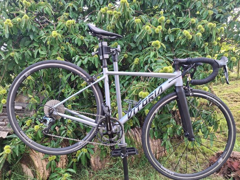 Used Vitoria Custom Shimano Tiagra 2021 Road & Gravel, Light Gray — image 1 of 14