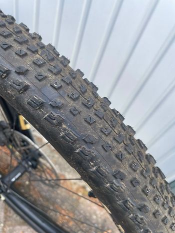 Used Canyon Spectral 29 CF 9 2021 2021 Mountainbike, Black, 29 — image 7 of 10