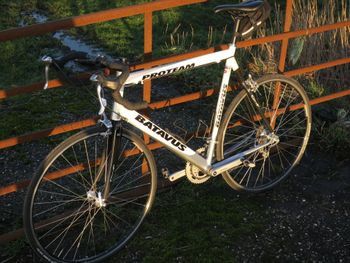 Batavus Custom Shimano Dura Ace 2003 Road & Gravel d'occasion — image 2 sur 7