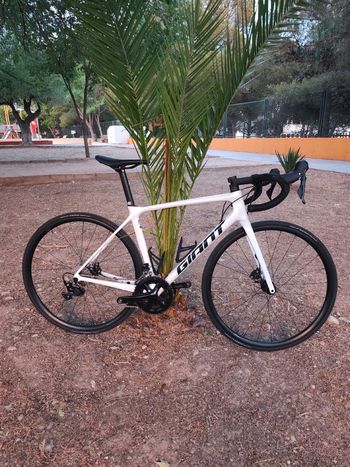 Giant TCR Advanced Disc 2 2021 2021 Carretera y gravel de segunda mano