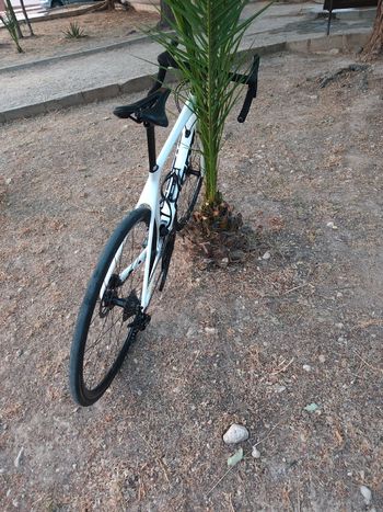 Used Giant TCR Advanced Disc 2 2021 2021 Road & Gravel, White — image 6 of 8