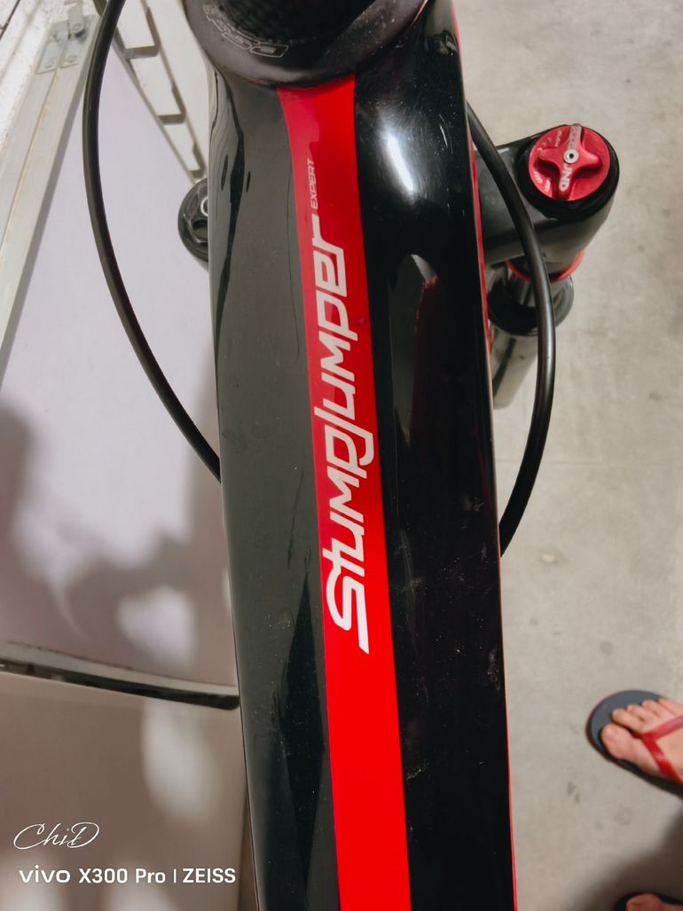 Brugt Specialized Stumpjumper EVO SRAM XX1 Eagle AXS 2018 Mountainbike — billede 6 af 9