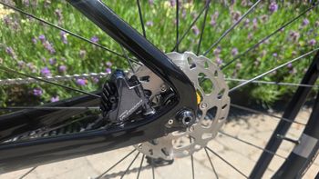 Brugt Thompson Falcon 2022 Road & Gravel — billede 13 af 17