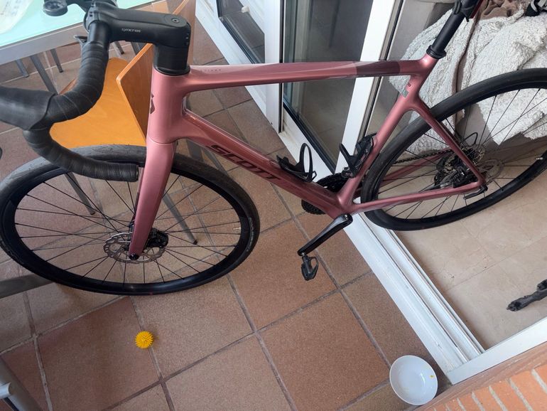 Used Scott Addict 50 2025 2025 Road & Gravel, Purple — image 1 of 5