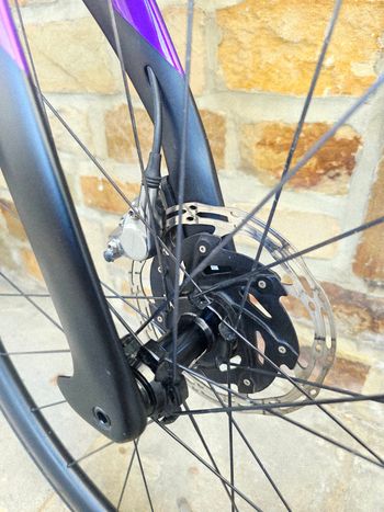 Pinarello DOGMA F DURA ACE Di2 2024 2024 Road & Gravel d'occasion — image 16 sur 24