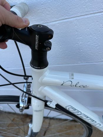 Used Specialized Dolce Elite Compact 2009 2009 Road & Gravel, White — image 8 of 11
