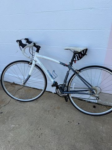 Used Specialized Dolce Elite Compact 2009 2009 Road & Gravel, White — image 1 of 11