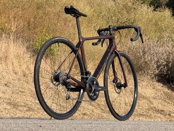 Used Giant TCR Advanced Disc 2 Pro Compact 2024 2024 Road & Gravel, Orange — image 6 of 14