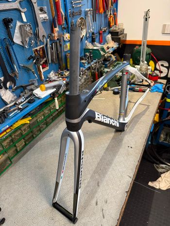 Used Bianchi INFINITO. CARBON. RIMBRAKE. NOS. Frameset 2015 Road & Gravel, White — image 6 of 18