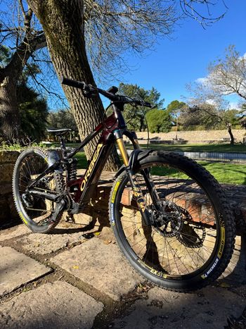 Brugt Orbea WILD FS M10 2022 2022 Mountainbike — billede 7 af 7