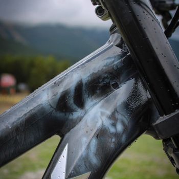 Used Trek Session SRAM GX DH 2015 Mountainbike, Black — image 8 of 10