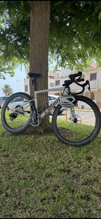 Tweedehands S Works Custom Frameset 2026 Racefiets & gravel