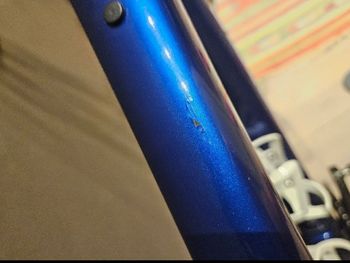 Used Trek Domane SL 6 Gen 4 2024 2024 Road & Gravel, Blue — image 6 of 6