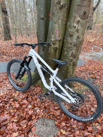 Brugt Canyon Torque Park AL 6 2024 2024 Mountainbike — billede 3 af 3