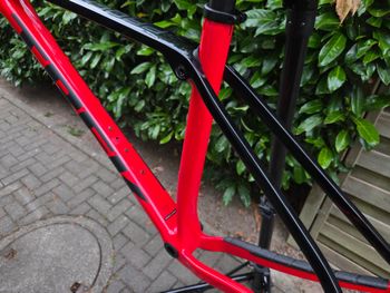 Tweedehands Trek Procaliber 9.5 2024 Frameset 2024 Mountainbike — afbeelding 11 van 14