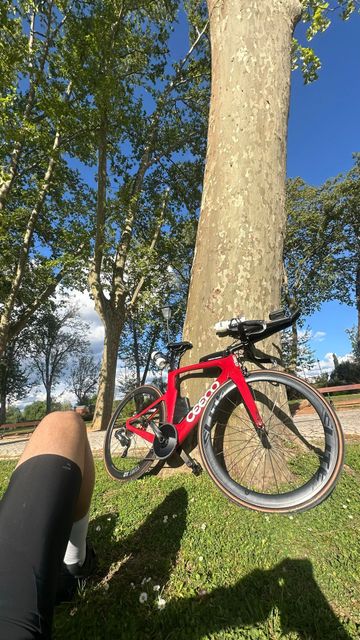 Ceepo Custom SRAM Force eTap AXS 2019 Road & Gravel usato