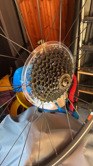 Używany Trek Domane Shimano Claris 2024 Road & Gravel — zdjęcie 2 z 11