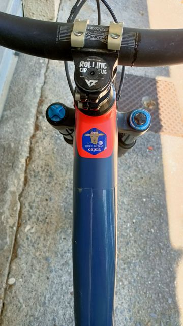 Tweedehands YT Industries CAPRA 29 AL Comp 2019 2019 Mountainbike — afbeelding 4 van 8