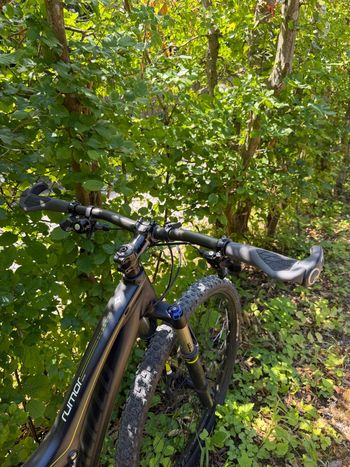 Used Specialized Rumor Comp 2014 2014 Mountainbike, Black, 29 — image 2 of 4