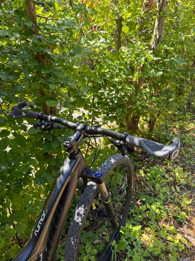 Used Specialized Rumor Comp 2014 2014 Mountainbike, Black, 29 — image 2 of 4