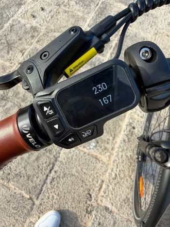 Fiido Custom Shimano Tourney 2025 Urban usato, Verde — immagine 8 di 9
