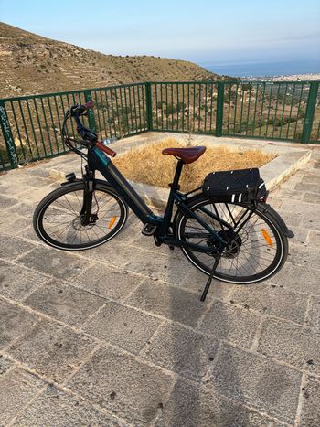 Fiido Custom Shimano Tourney 2025 Urban & Touring usato
