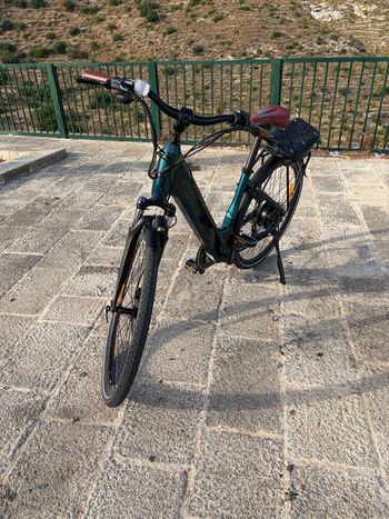 Fiido Custom Shimano Tourney 2025 Urban usato, Verde — immagine 5 di 9