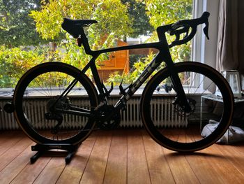 Brugt Trek Madone SL 6 Gen 8 2025 2025 Road & Gravel