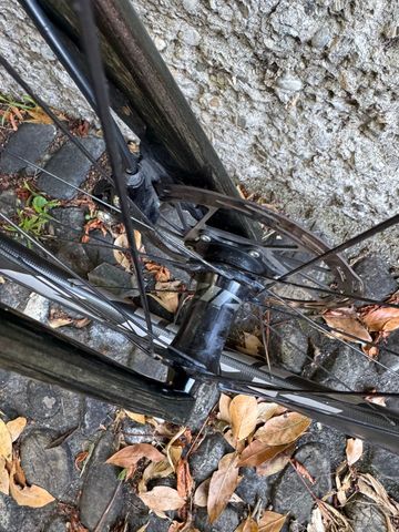 Käytetty TanTan (Senaph) Custom SRAM Rival eTap AXS 2024 Road & Gravel — kuva 33 / 79