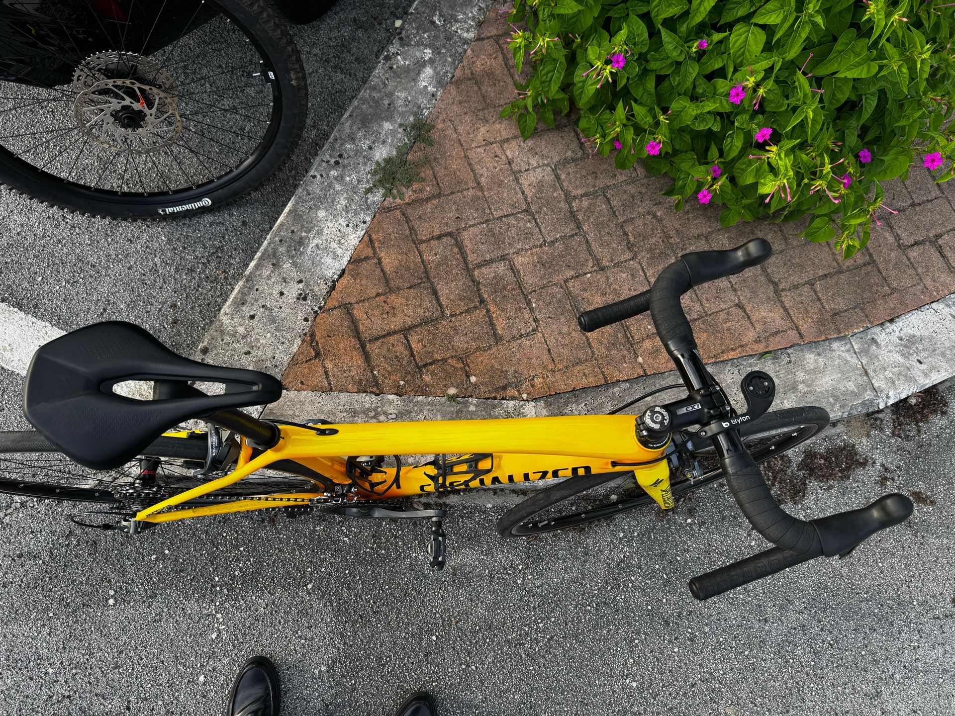 引取限定】 SPECIALIZED Amira comp Campagnolo ZONDA SHIMANO Di2