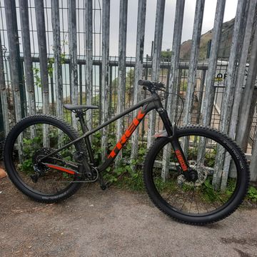Used Trek Roscoe SRAM NX Eagle 2024 Mountainbike, Green, 29 — image 5 of 6
