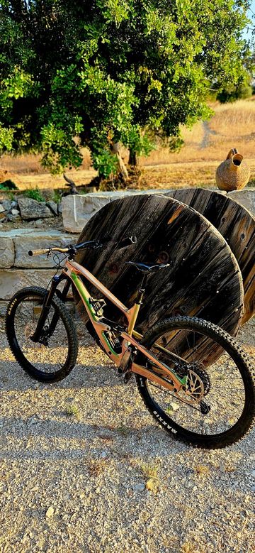 Used Cannondale Jekyll 1 2024 2024 Mountainbike, Green, 29 — image 4 of 9