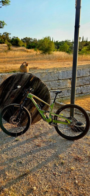 Used Cannondale Jekyll 1 2024 2024 Mountainbike, Green, 29 — image 2 of 9