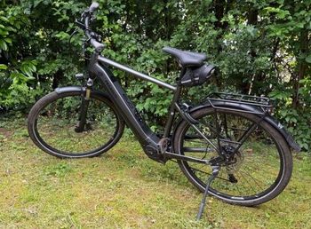 Tweedehands Pegasus Premio EVO 10 Lite Diamond 2023 2023 Urban & Touring