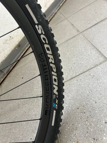 Tweedehands Trek Procaliber 9.8 SL 2019 2019 Mountainbike — afbeelding 10 van 10