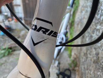 Adris Custom Shimano Tiagra 2025 Road & Gravel usato, Bianco — immagine 5 di 5