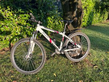 Gebrauchtes DECATHLON Custom SRAM X5 2012 Mountainbike, Weiß — Bild 2 von 7