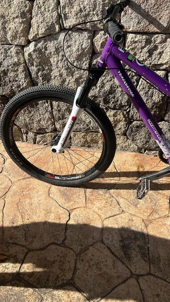 Brugt Commencal Absolut 2010 Mountainbike — billede 3 af 9