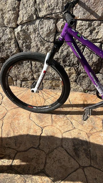 Použité Commencal Absolut 2010 Mountainbike — obrázek 3 z 9